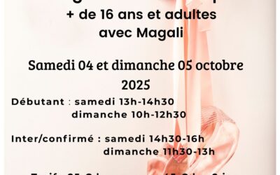 Stage danse classique 4 et 5 octobre 2025