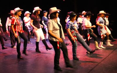 Photo country spectacle au Chai du Terral en faveur du Téléthon