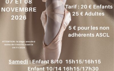 Stage Danse classique Adultes et enfants